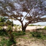 beachfront-properties-in-lamu1