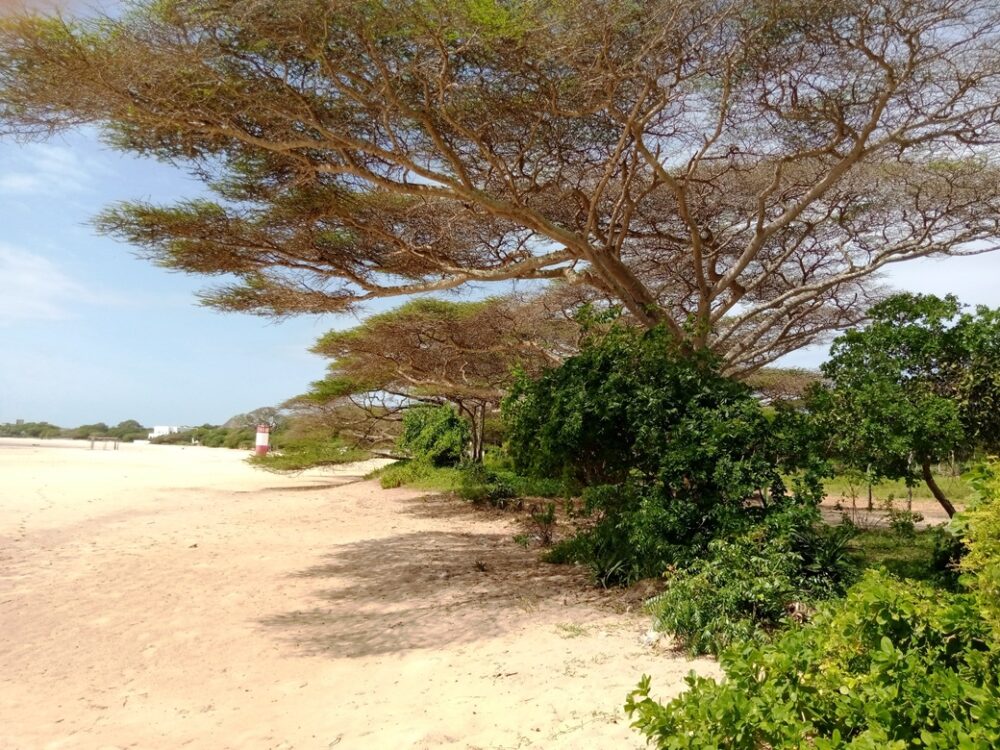 beachfront-properties-in-lamu2