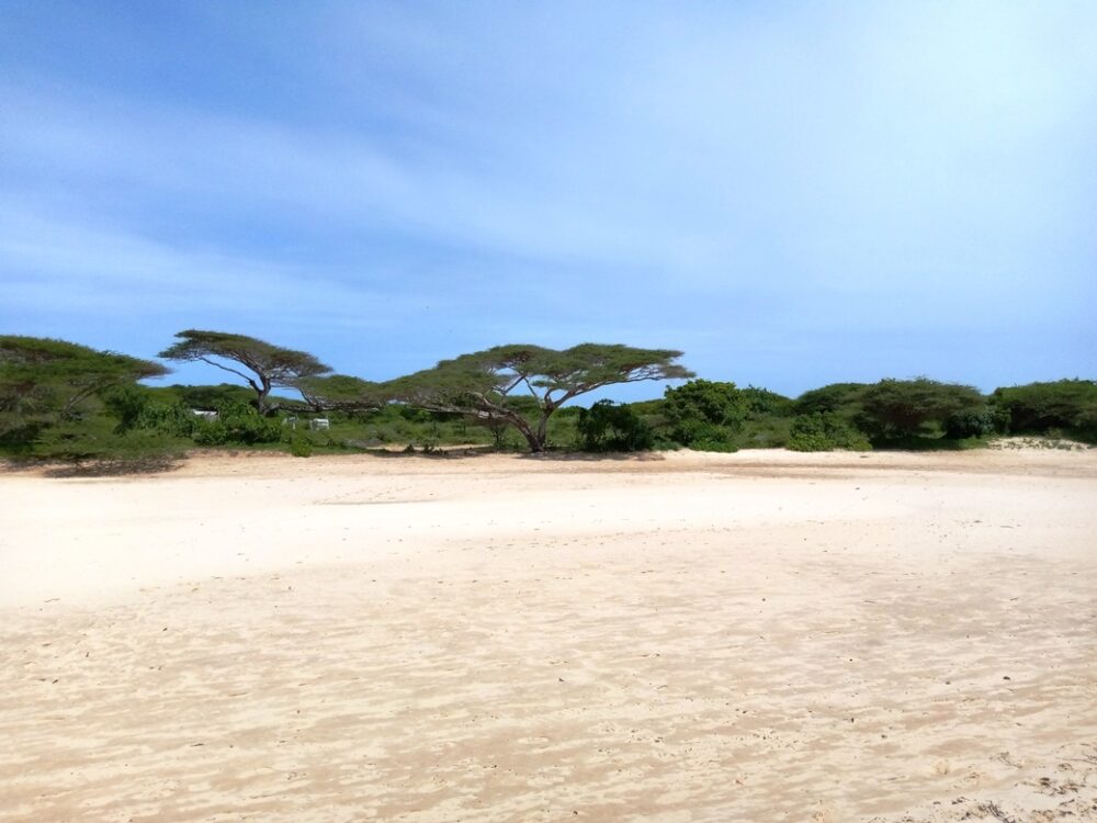 beachfront-properties-in-lamu5