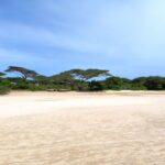 beachfront-properties-in-lamu5