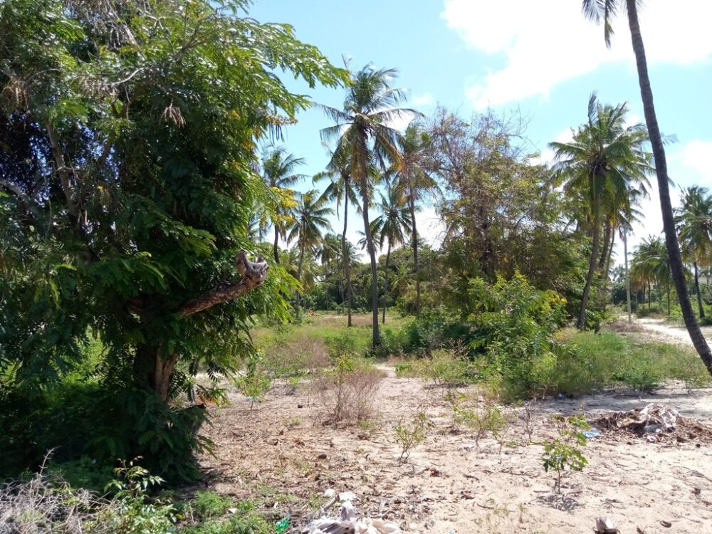 plots-for-sale-in-lamu-mashambani2