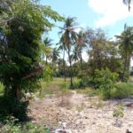 plots-for-sale-in-lamu-mashambani2