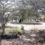 plots-for-sale-in-manda-ras-kitau5