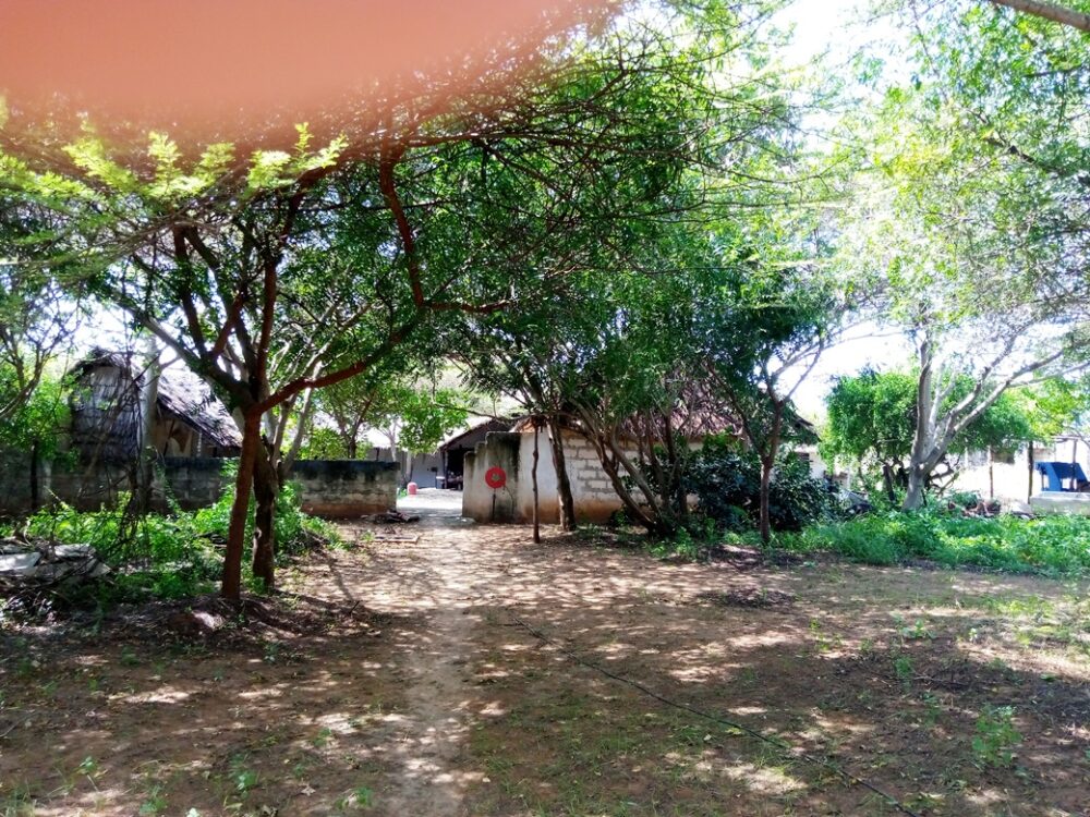 worksho-house-for-sale-in-lamu1